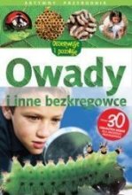 Owady. Aktywny przyrodnik Opracowanie zbiorowe