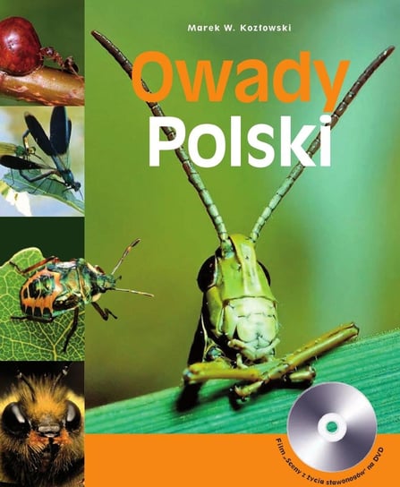 Owady Polski Kozłowski Marek