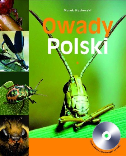 Owady Polski Kozłowski Marek