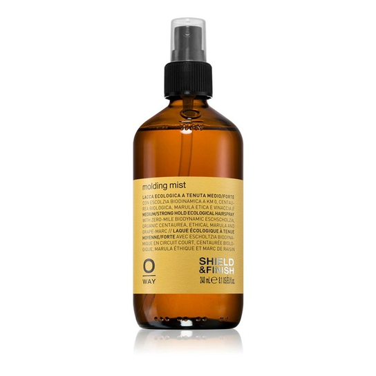 Oway Molding Mist 240ml OWay