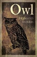 Owl Morris Desmond