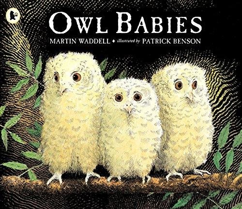 Owl Babies Waddell Martin