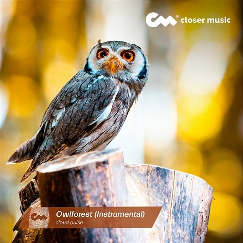 Owlforest cloud pulse