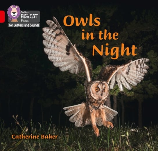 Owls in the Night Catherine Baker