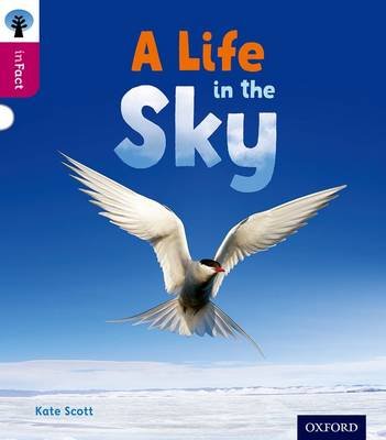 Oxford Reading Tree inFact: Level 10: A Life in the Sky Scott Kate