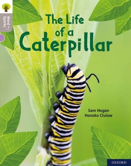 Oxford Reading Tree Word Sparks: Level 1: The Life of a Caterpillar Sam Hogan