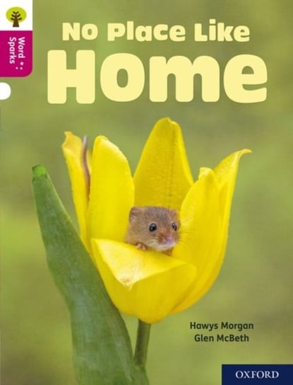 Oxford Reading Tree Word Sparks: Level 10: No Place Like Home Morgan Hawys