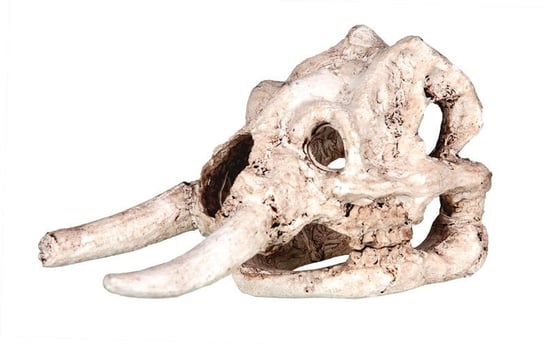 Ozdoba akwariowa Happet R111 czaszka mamuta 11,5cm Happet