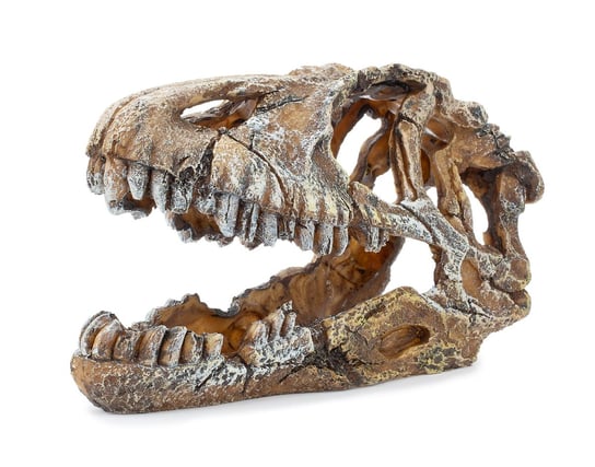 Ozdoba akwariowa Happet U714 czaszka dinozaura 17cm Happet