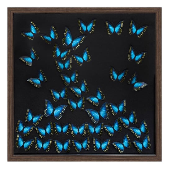 Ozdoba ścienna 3D z motylami, 55 x 55 cm Atmosphera