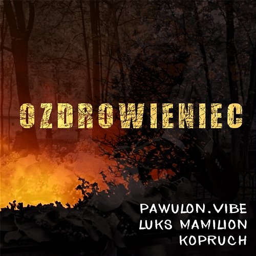 Ozdrowieniec Pawulon.Vibe, Luks Mamilion, Kopruch