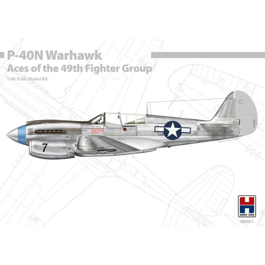 P-40N Warhawk Aces Of The 49Th Fighter Group 1:48 Hobby 2000 48001 Hobby 2000