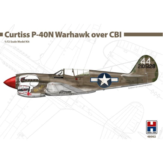 P-40N Warhawk Over Cbi (China, Burma, India) 1:72 Hobby 2000 48002 Hobby 2000