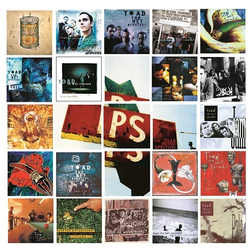 P.S. (a Toad retrospective) Toad The Wet Sprocket