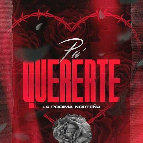 Pa Quererte La Pocima Norteña