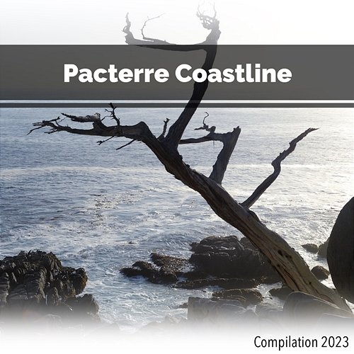 Pacterre Coastline Compilation 2023 John Toso, Mauro Rawn, Benny Montaquila Dj