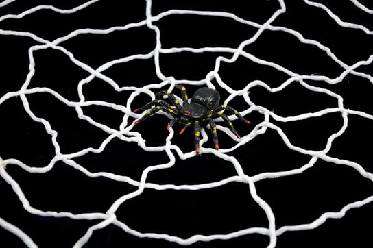 Pajęcza sieć XL z pająkiem Arpex