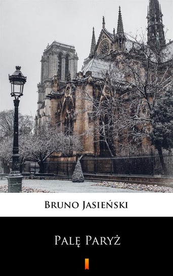 Palę Paryż Jasieński Bruno