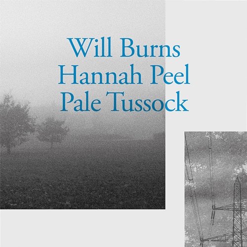 Pale Tussock Will Burns & Hannah Peel