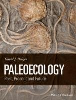 Paleoecology Bottjer David J.