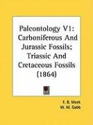 Paleontology V1: Carboniferous and Jurassic Fossils; Triassic and Cretaceous Fossils (1864) Meek F. B., Gabb W. M.