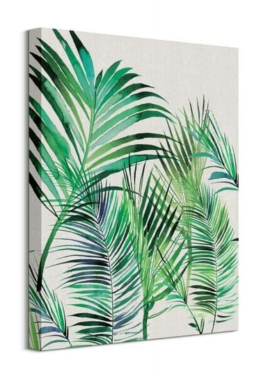 Palm Leaves - obraz na płótnie Pyramid International