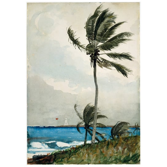 Palm Tree, Nassau - Homer Winslow 50x70 Legendarte