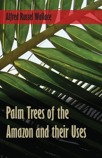 Palm Trees of the Amazon and their Uses Wallace Alfred Russel