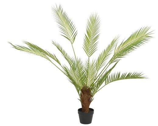 Palma zielona roślina w doniczce duża 80x120cm ABC
