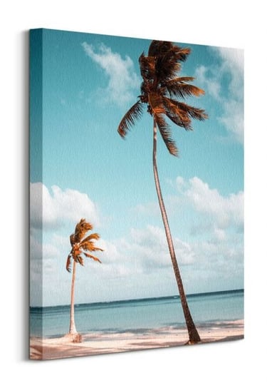 Palmy na plaży - obraz na płótnie Nice Wall