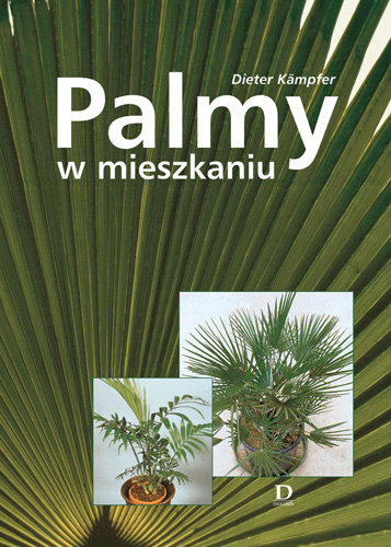 Palmy w mieszkaniu Kampfer Dieter