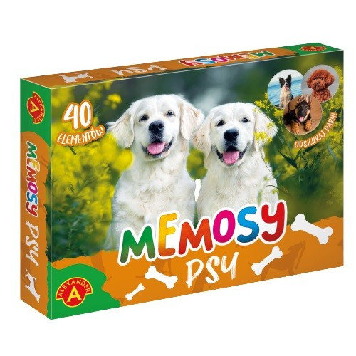 Pamięć-Memosy-Psy, gra, Alexander Alexander