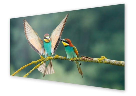 Panel kuchenny HOMEPRINT Barwny ptak żołna 125x50 cm HOMEPRINT