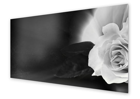 Panel kuchenny HOMEPRINT Biała róża na czarnym tle 100x50 cm HOMEPRINT