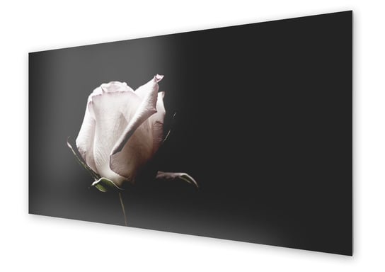 Panel kuchenny HOMEPRINT Biała róża na czarnym tle 125x50 cm HOMEPRINT