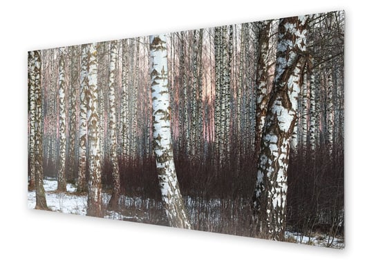 Panel kuchenny HOMEPRINT Biały las brzozowy 140x70 cm HOMEPRINT