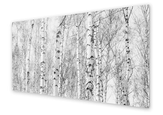 Panel kuchenny HOMEPRINT Brzozowy gaj 125x50 cm HOMEPRINT