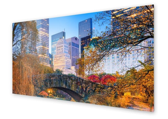 Panel kuchenny HOMEPRINT Central Park w Nowym Yorku 100x50 cm HOMEPRINT