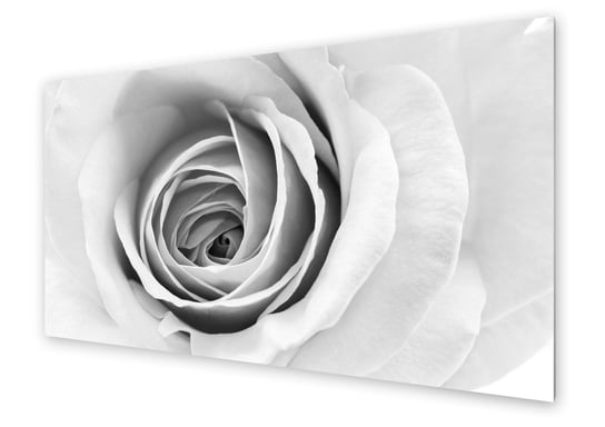 Panel kuchenny HOMEPRINT Czarno-biała piękna róża 120x60 cm HOMEPRINT