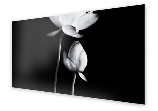 Panel kuchenny HOMEPRINT Czarno biały kwiat lotosu 100x50 cm HOMEPRINT