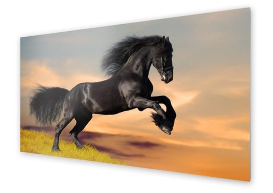 Panel kuchenny HOMEPRINT Czarny koń 100x50 cm HOMEPRINT