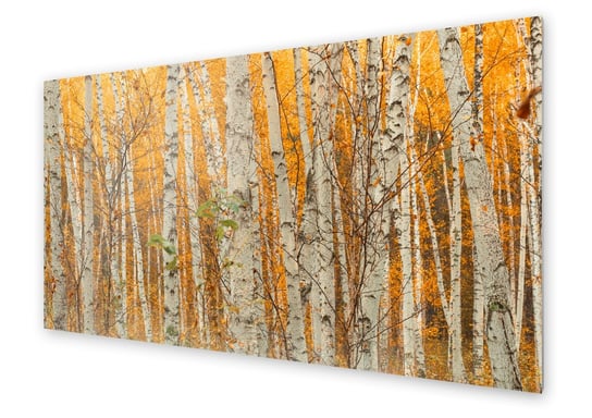 Panel kuchenny HOMEPRINT Drzewa brzozy jesienią 100x50 cm HOMEPRINT