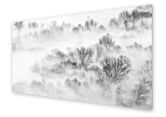 Panel kuchenny HOMEPRINT Drzewa we mgle 125x50 cm HOMEPRINT