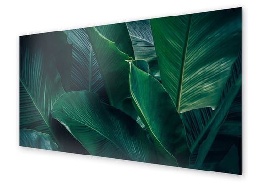 Panel kuchenny HOMEPRINT Duże liście tropikalne 100x50 cm HOMEPRINT