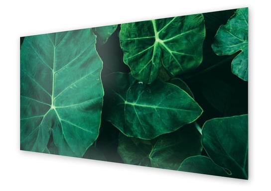 Panel kuchenny HOMEPRINT Duże liście tropikalne 100x50 cm HOMEPRINT