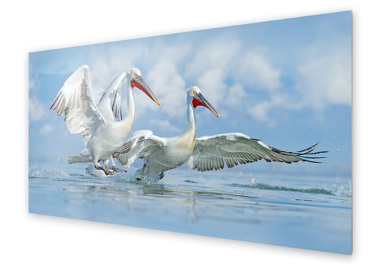 Panel kuchenny HOMEPRINT Dwa pelikany 125x50 cm HOMEPRINT
