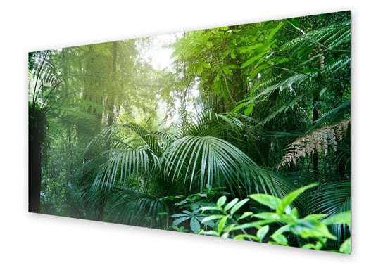 Panel kuchenny HOMEPRINT Dżungla o poranku 120x60 cm HOMEPRINT