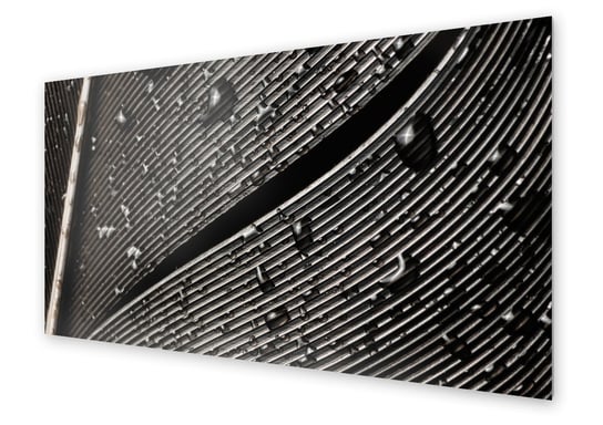Panel kuchenny HOMEPRINT Fragment ptasiego pióra 100x50 cm HOMEPRINT