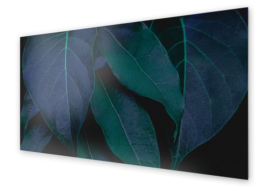 Panel kuchenny HOMEPRINT Kadr liści na czarnym tle 100x50 cm HOMEPRINT