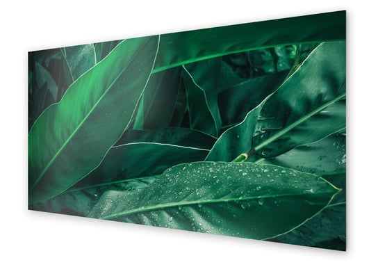 Panel kuchenny HOMEPRINT Krople wody na liściach 120x60 cm HOMEPRINT